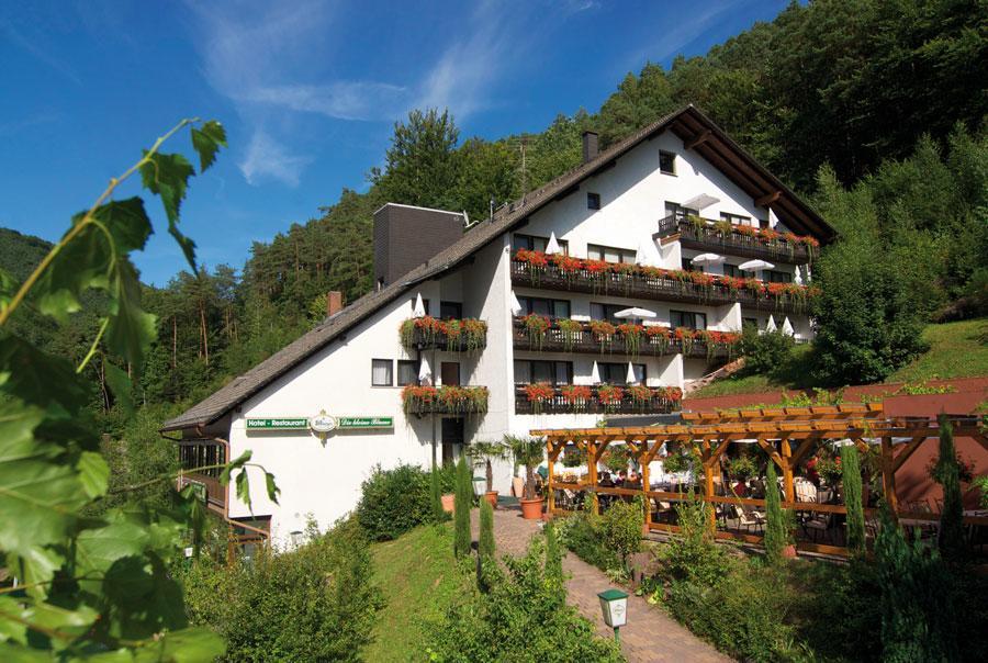 Hotel Die Kleine Blume Erfweiler Bagian luar foto
